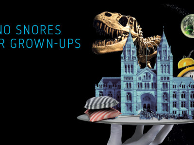 Dino Snores for Grown-ups image