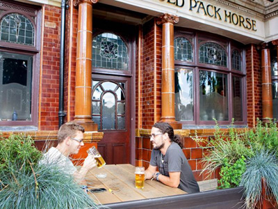 Old Pack Horse Picture