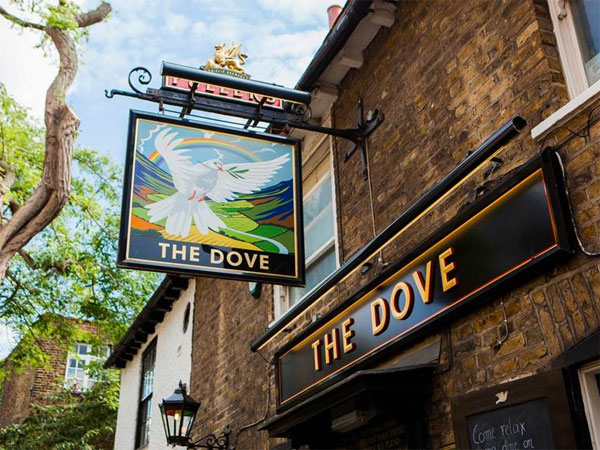 The Dove Picture