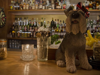 Cocktail Trading Company Picture