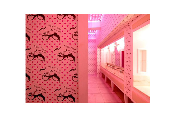 Ladies Toilet - Booby Trap