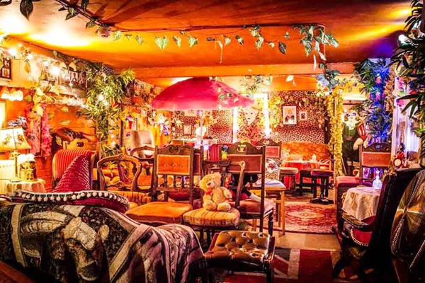 Little Nan's Tropical Private Hire Den image