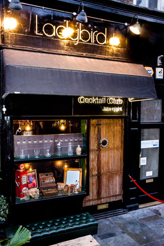 The Ladybird Bar
