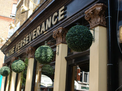 The Perseverance Picture