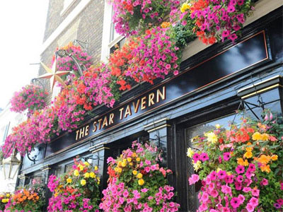 The Star Tavern Picture