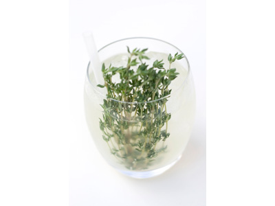 Thyme Daquiri