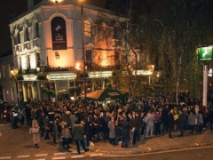 The White Horse image