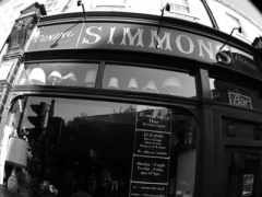 Simmons image