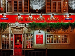 Eleanor Arms image