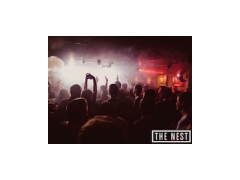 The Nest image