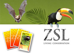 London Zoo Competition image