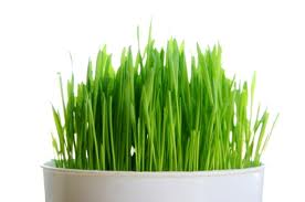 Banish your Cravings. Tip #6: Clean up your diet... image