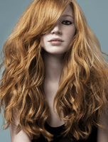 Speed Styling & Colouring from Windle & Moodie image