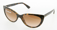 Specs Appeal image