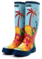 Don't Forget the Wellies... image