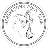 The Perfect Pony image