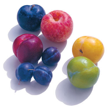 Recipe :: Plum Pie ...delicious and nutritious! image