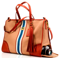 Coach & Fashion Foie Gras create an exclusive Blogger Bag  image