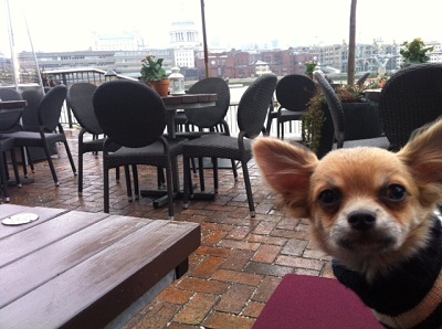 South Bank walk and lunch at The Founders Arms image
