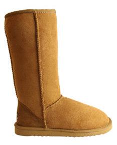Toasty Toes from Whooga image