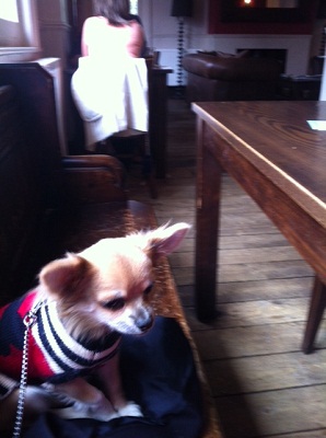 Petersham Hotel, Richmond and The Victoria, East Sheen image
