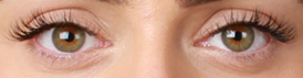 Luscious Lashes from Boudoir - Reader Offer! image