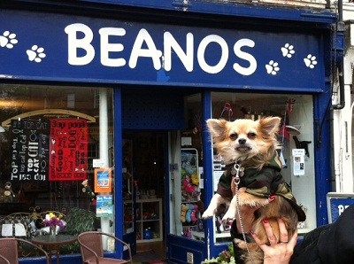 Beanos Pet Gifts and Bushy Park image