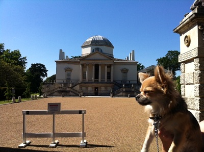A guided tour of Charming Chiswick image