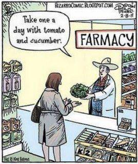 Food as Medicine :: How it should be... image