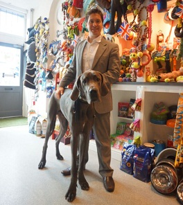 Pampered Pooches and Huge Hounds at Clarendon Cross Canine image