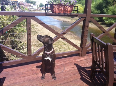 The Town Wharf (Isleworth) for fabulous river views and Pancake! image
