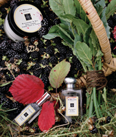 Jo Malone's Blackberry & Bay image