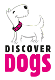 3,000 dogs at Discover Dogs at Earl’s Court image