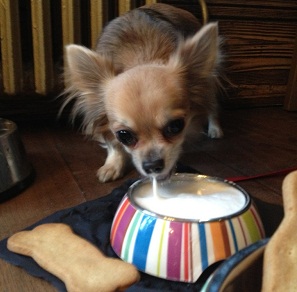 Pedigree Tea at The Princess of Wales in Primrose Hill image