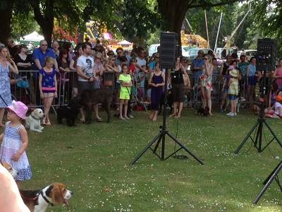 Dog Show at St Margaret’s Fair image