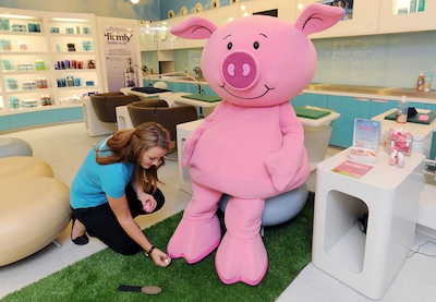 A Piggy Pedi for Tired Trotters! image