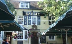 Cosy riverside bars - Barmy Arms in Twickenham image