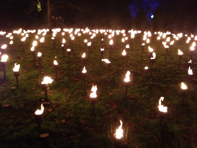 Kids in London - Plant whisperers, fire gardens and light shows at Kew Garden’s new Illuminated Trail image