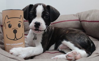Ethical puppy and dog training treats from Pooch & Mutt image