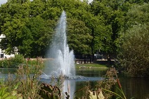 Dogs in London – St James’s Park and Green Park image