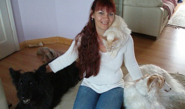 For well-behaved dogs – Get a personal dog trainer image