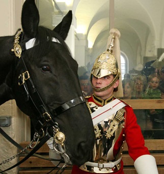 Swords, technology and real soldiers and horses at The Household Cavalry Museum image