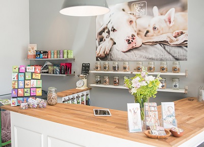 Pet portraits and Dog TV - Little and Large in Twickenham image