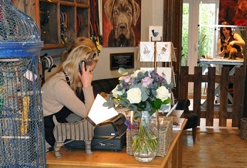 London Dog Blog – Richmond Rascals care and grooming parlour image