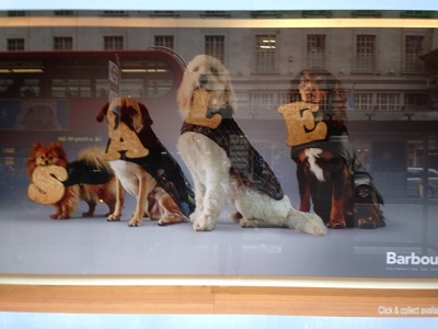 London Dog Blog – Sale at Barbour in Regent Street image