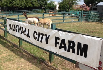 Kids in London – Cute animals at Vauxhall City Farm image