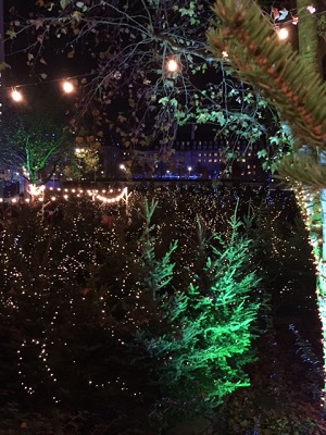 Christmas spirit at South Bank’s Winter Festival - Magical maze, continental market and mini train ride   image