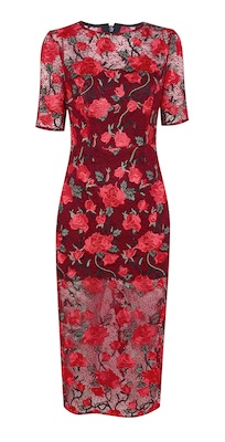 Fashion Find of the Week... image
