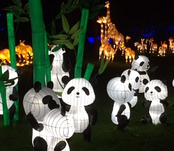 Walk in the dark at Chiswick Park to see the Lantern Festival image