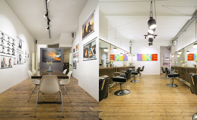 The Lion & The Fox - A Salon Evolution image